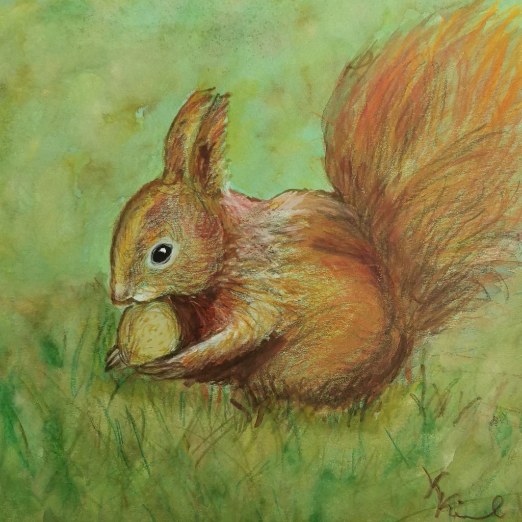 Echhörnchen Polychromos